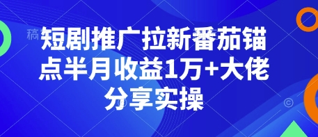 短剧推广拉新番茄锚点半月收益1万+大佬分享实操-湘创网
