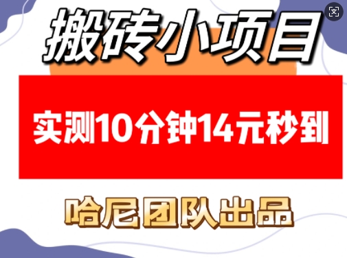 搬砖小项目，实测10分钟14元秒到，每天稳定几张(赠送必看稳定)-湘创网
